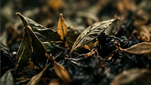 Detailed dried leaves
